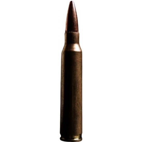 ATOMIC 223 REM 77GR HPBT SUBSONIC 20RD 10BX/CS