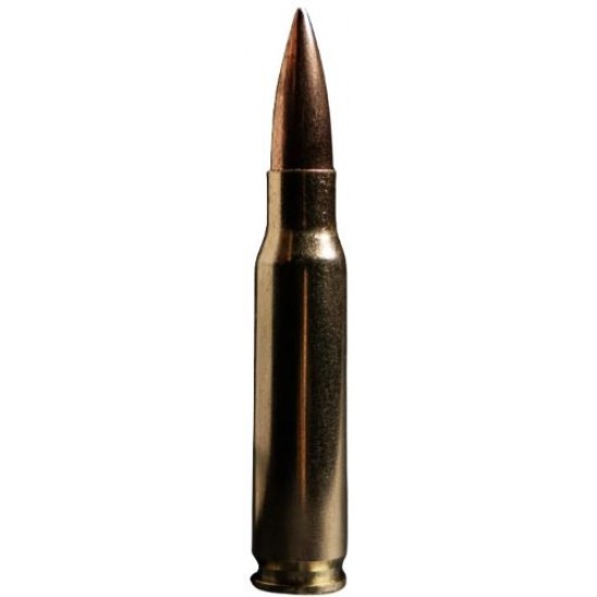 ATOMIC 308 WIN 175GR SUBSONIC BTHP 20RD 10BX/CS
