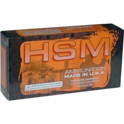 HSM 221 REM FIREBALL 55GR VMAX 20RD