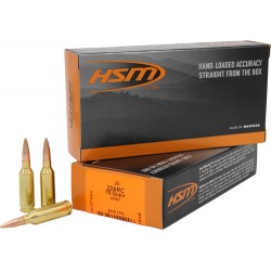 HSM 22 ARC 75GR BTHP 20RD 25BX/CS