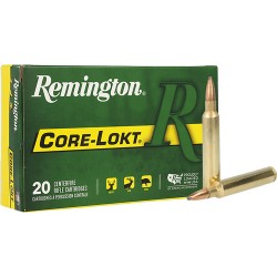 REMINGTON 300 RUM 180GR CORE-LOKT PSP 20RD 10BX/CS