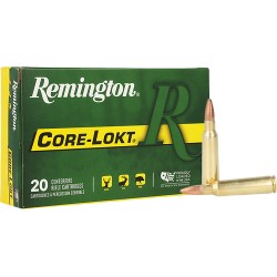 REMINGTON 250 SAVAGE 100GR CORE-LOKT SP 20RD 10BX/CS