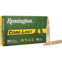 REMINGTON 300 WBY MAGNUM 180GR CORE-LOKT PSP 20RD 10BX/CS