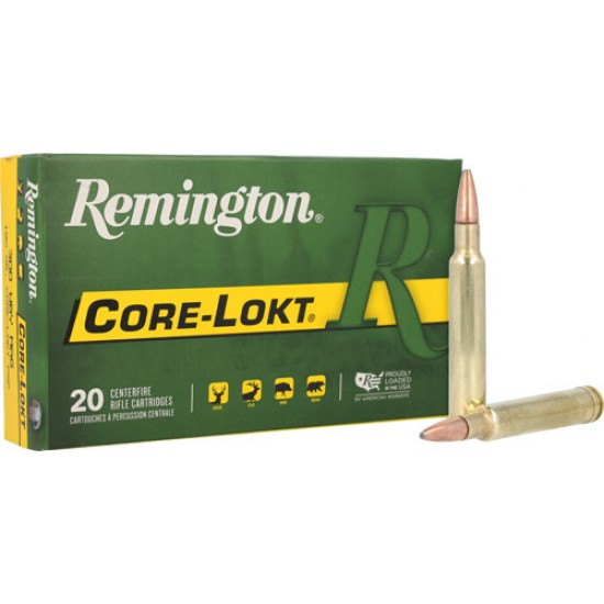 REMINGTON 300 WBY MAGNUM 180GR CORE-LOKT PSP 20RD 10BX/CS