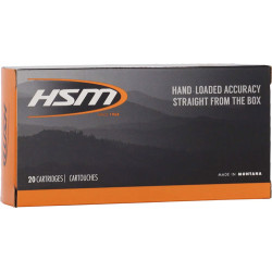HSM 300 AAC 150GR BTSP 20RD