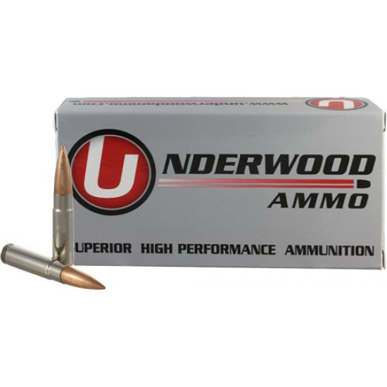 UNDERWOOD 300 AAC 220GR MATCH HPBT 20RD 10BX/CS