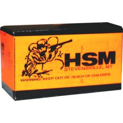 HSM AMMO SUBSONIC .45ACP 230GR LEAD PLATED ROUND NOSE 50-PACK