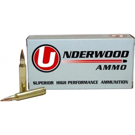 UNDERWOOD AMMO .458 HAM'R 300GR. BALLISTIC TIP SPITZER