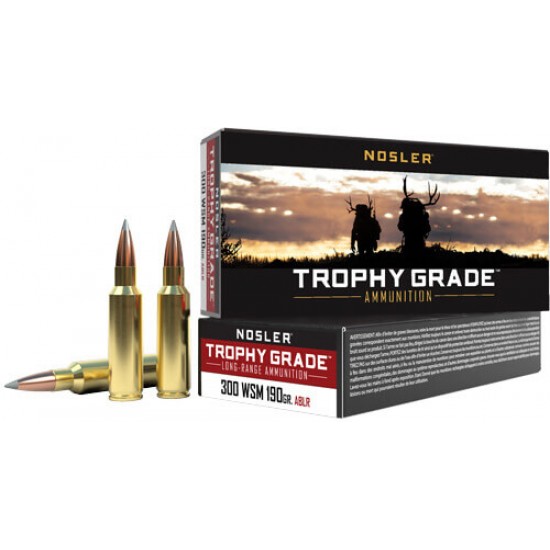 NOSLER TROPHY GRADE LR 300 WM 190GR ABLR 20RD