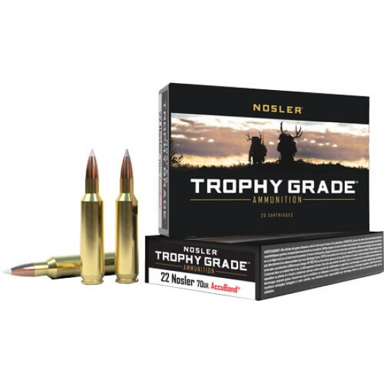 NOSLER TROPHY GRADE 22CM 70GR ACCU TIP 20RD