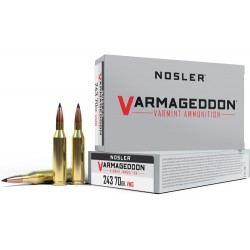 NOSLER VARMAGEDDON 17 REM FB 20GR FBT 20RD 20BX/CS NOSLER VARMAGEDDON 17 REM FB 20GR FBT 20RD 20BX/CS