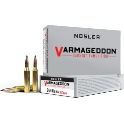 NOSLER VARMAGEDDON 6MM CM 70GR FBT 20RD 10BX/CS
