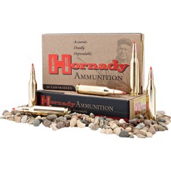 HORNADY AMMO 350 LEGEND 165GR. FTX 20 PACK