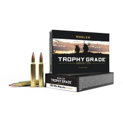 NOSLER AMMO TROPHY GRADE .300WM 180GR ACCUBOND TIP 20PK