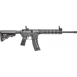 SMITH & WESSON M&P15-22 SPORT 22LR 16.5