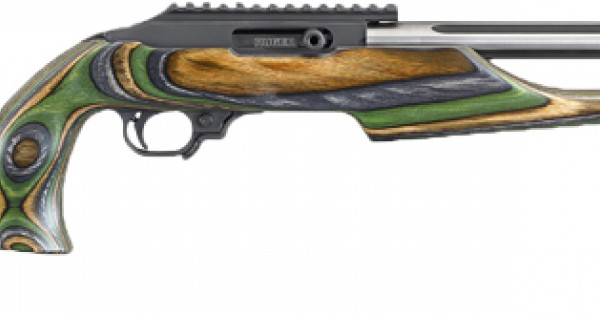 Custom Ruger ruger 10/22 .22lr custom
