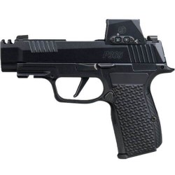 SIG SAUER P365 AXG LUXE 380ACP 3.1
