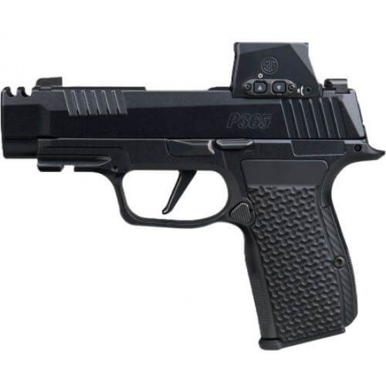SIG SAUER P365 AXG LUXE 380ACP 3.1