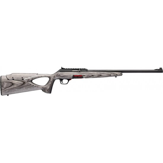 WINCHESTER WILDCAT 22LR 18