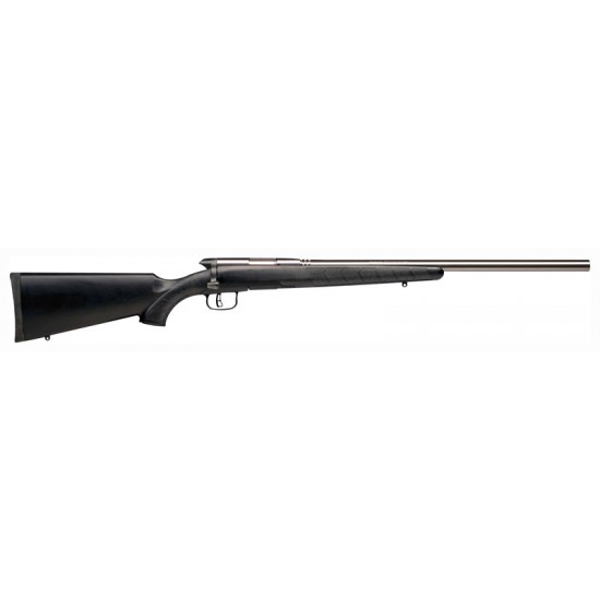 SAVAGE BMAG .17WSM 22