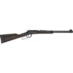HENRY H1 GARDEN GUN 22WMR 18.5