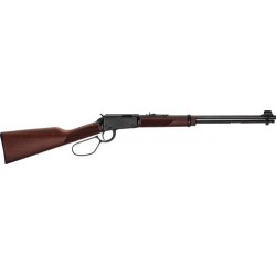 HENRY CLASSIC LEVER .22WMR 19