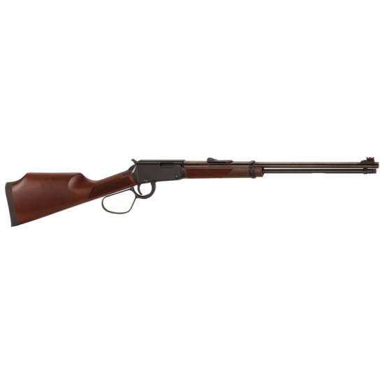 HENRY VARMINT EXPRESS .17HMR 19