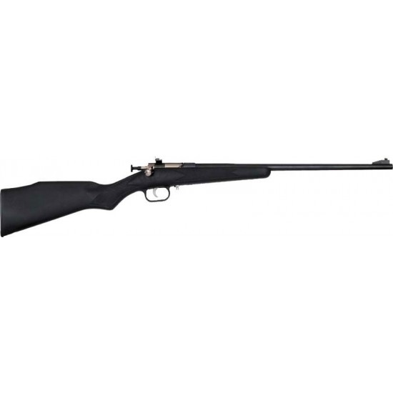 CRICKETT RIFLE G2 .22LR BLUED/BLACK SYNTHETIC