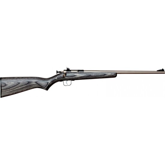 CRICKETT RIFLE G2 .22LR S/S BLACK LAMINATE