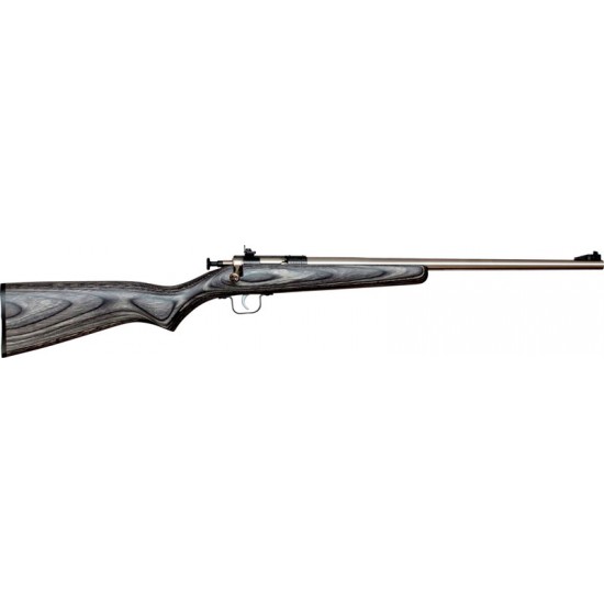 CRICKETT RIFLE G2 .22LR S/S BLACK LAMINATE